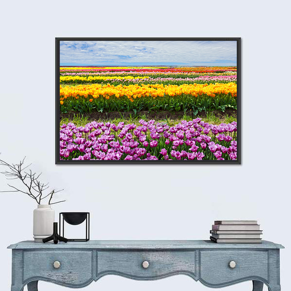 Rows of Colorful Tulip Fields Wall Art