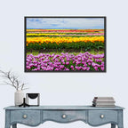 Rows of Colorful Tulip Fields Wall Art