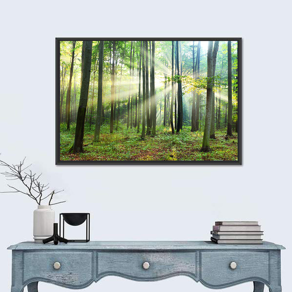 Morning Light in the Forest Wall Art in a room, landscape