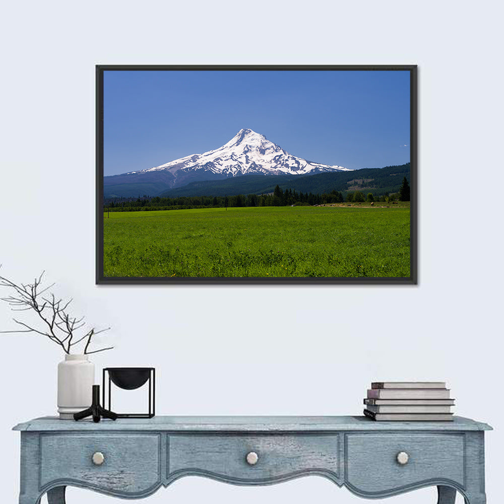 Mount Hood Meadow View Wall Art in a room, landscape