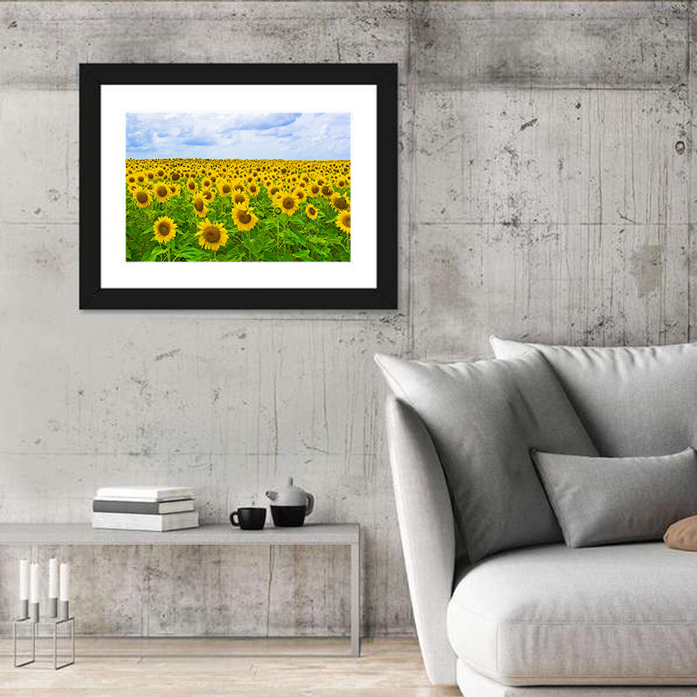 Sunflower Field Under Blue Sky Wall Art in a room, landscape