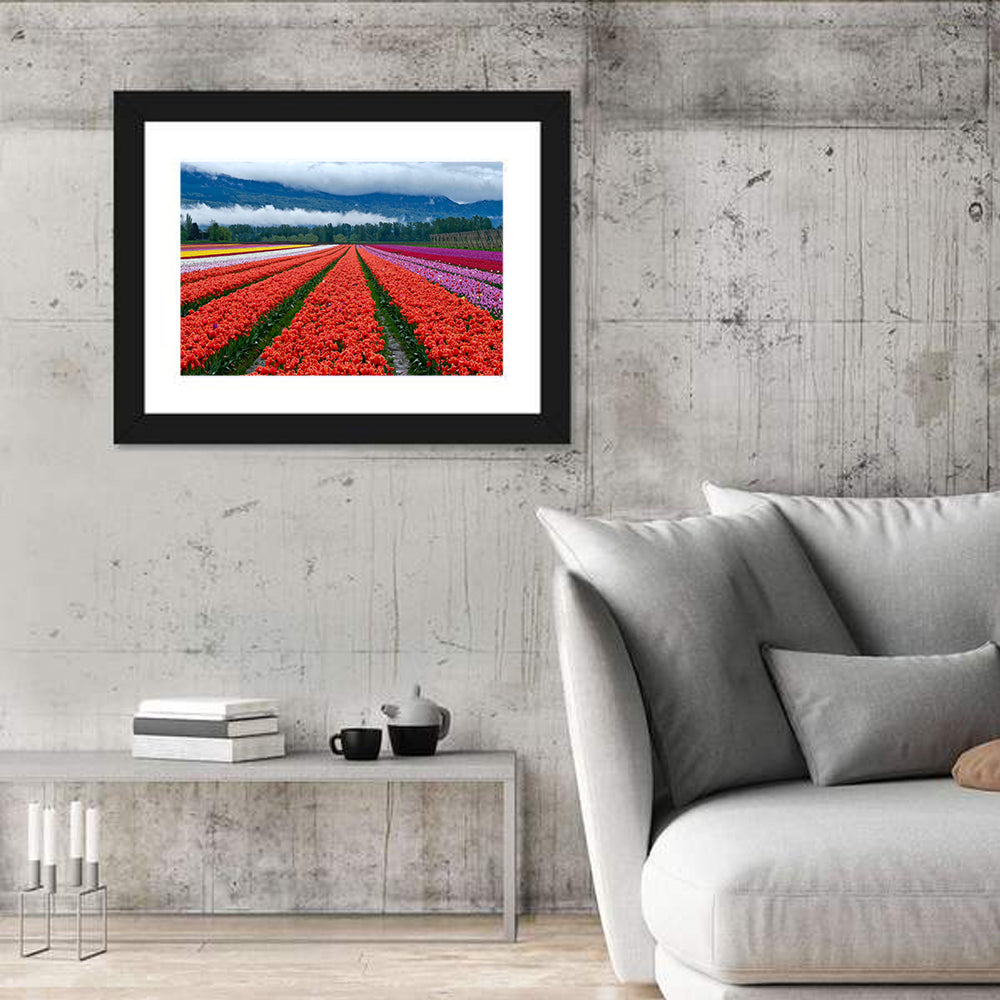 Chilliwack Tulip Festival Wall Art