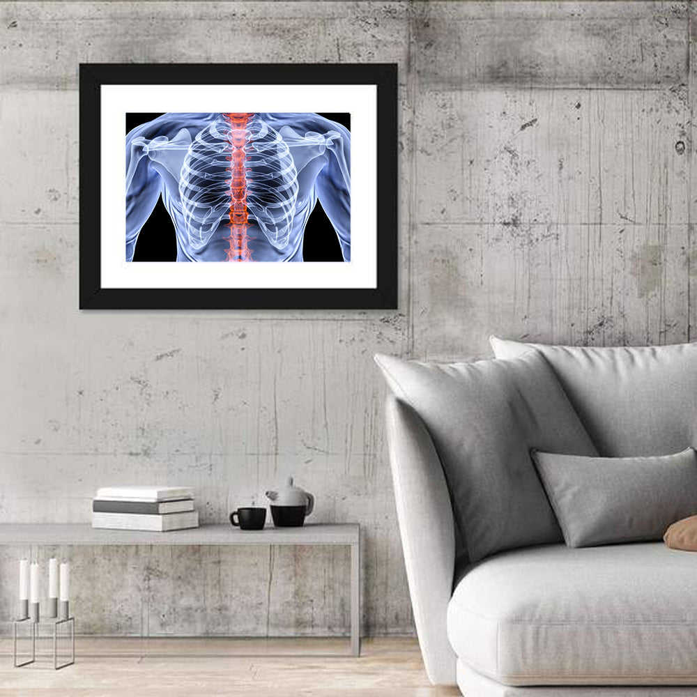 Male Spine X-ray Illustration Wall Art in a room, landscape