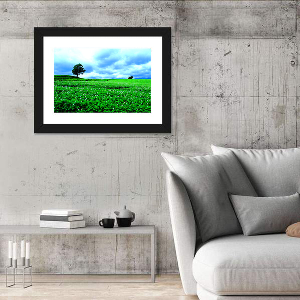 Biei Hill with Lone Tree, Hokkaido Wall Art