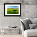 Italian Cypresses on Rolling Hills Wall Art