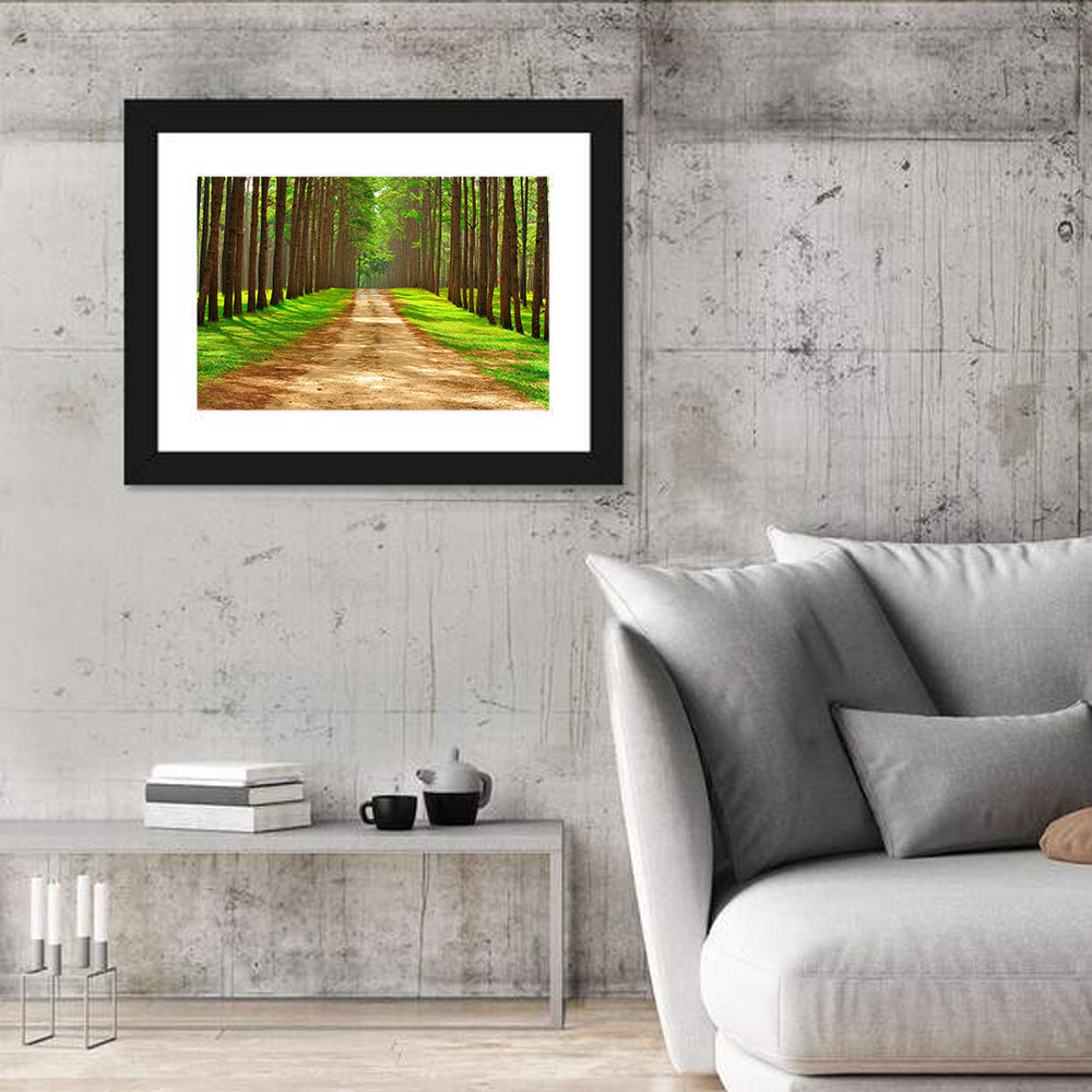 Thailand Pine Forest Path Wall Art