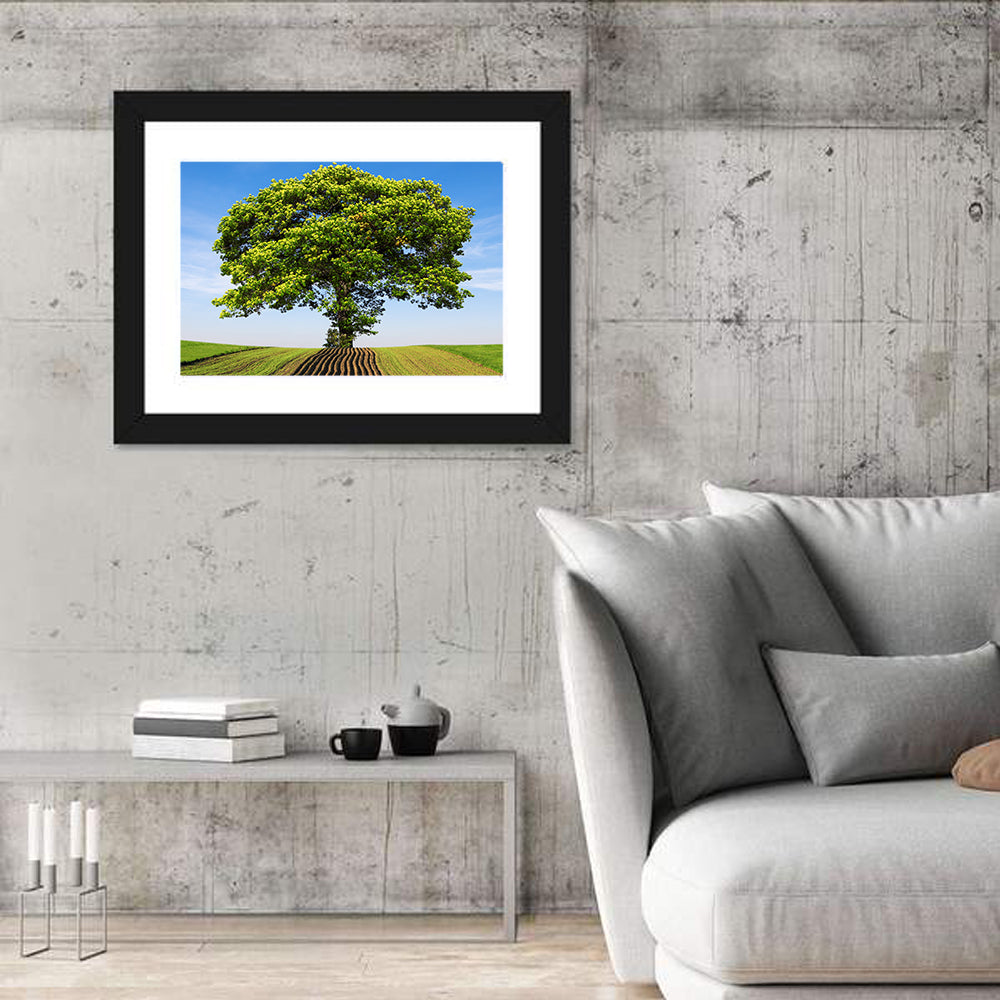 Solitary Tree on Plowed Hill Wall Art in a room, landscape