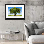 Solitary Tree on Plowed Hill Wall Art
