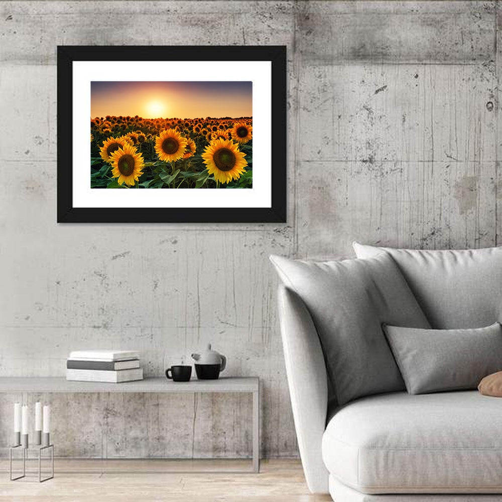Sunflower Field at Sunset Wall Art in a room, landscape