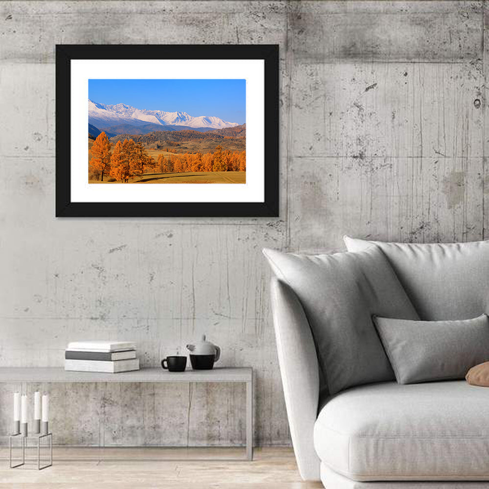 Altay Mountains with Golden Larches Wall Art in a room, landscape