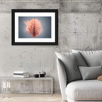 Anatomical Brain with Particles Wall Art