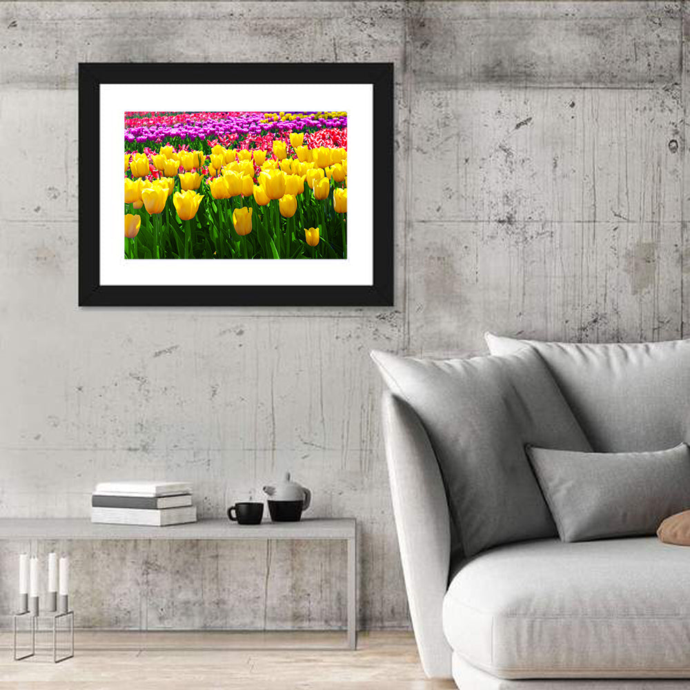 Yellow Tulips in Bloom Wall Art in a room, landscape