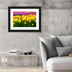 Yellow Tulips in Bloom Wall Art