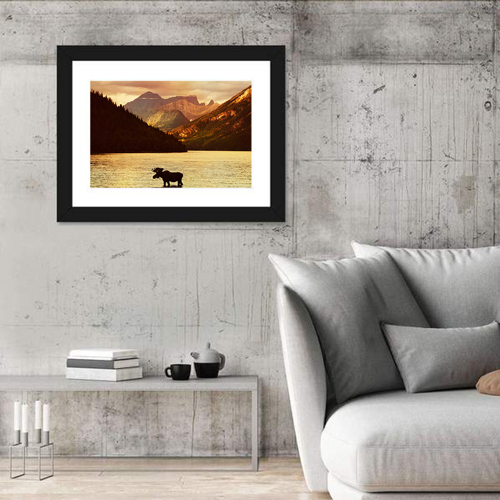 Waterton Lakes Moose at Golden Dusk Wall Art