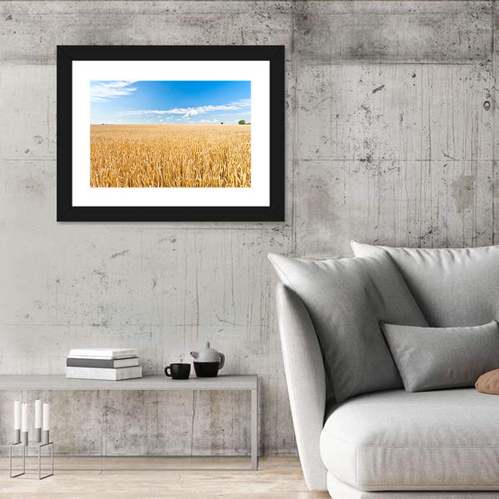 Golden Wheat Field with Blue Sky Wall Art