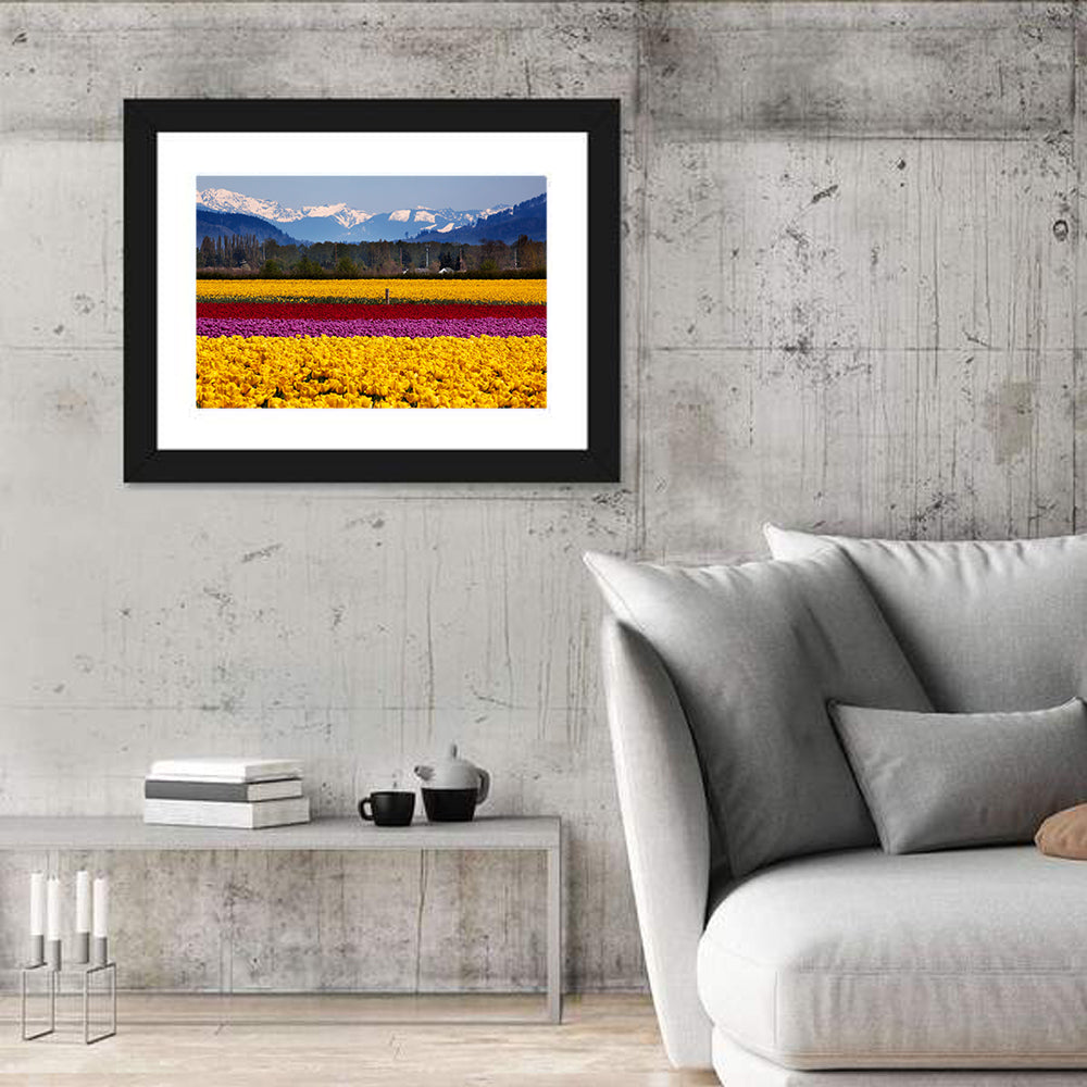 Skagit Valley Spring Daffodils Wall Art in a room, landscape