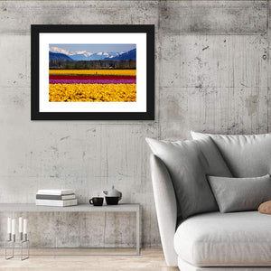 Daffodils In Skagit Valley Wall Art