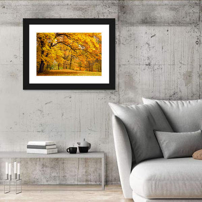 Autumn Gold Trees In Park Wall Art