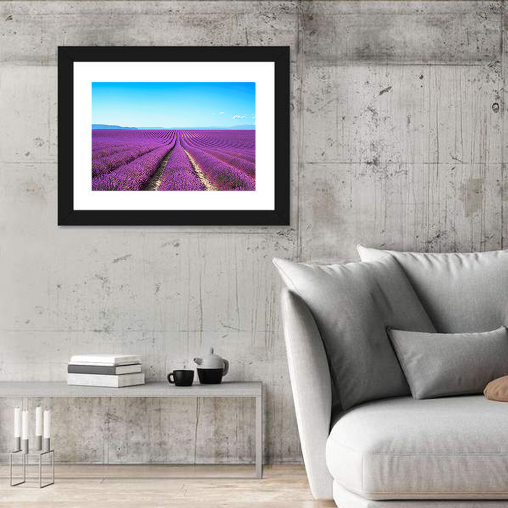Lavender Flower Fields Wall Art