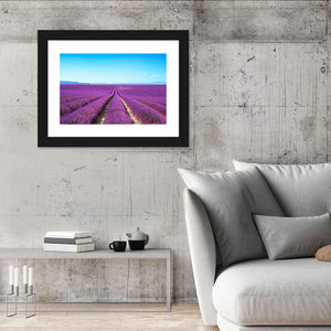 Lavender Flower Fields Wall Art