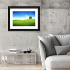 Lone Tree on Rolling Green Hill Wall Art