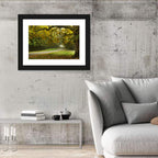 Foggy Autumn Forest Path Wall Art