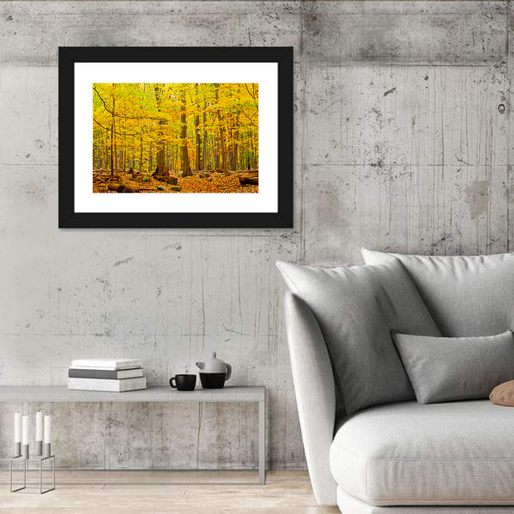 Catoctin Autumn Forest Wall Art in a room, landscape
