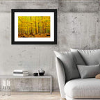 Catoctin Autumn Forest Wall Art