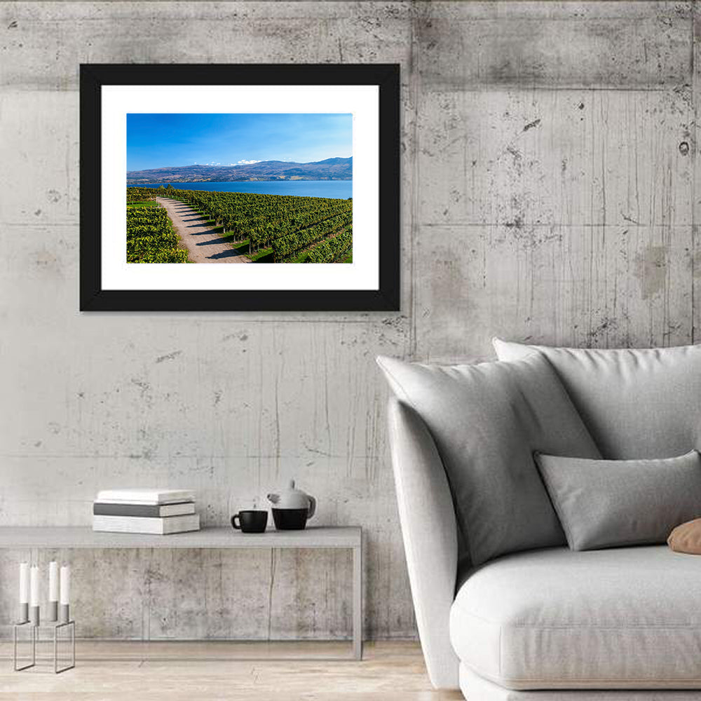Lake Okanagan Vineyard Path Wall Art