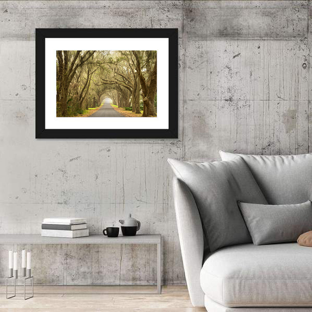 Spanish Moss Country Road Wall Art