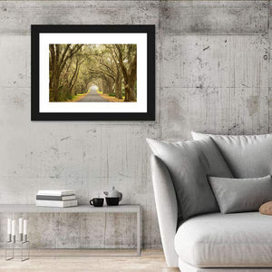 Spanish Moss Countryside Road Wall Art