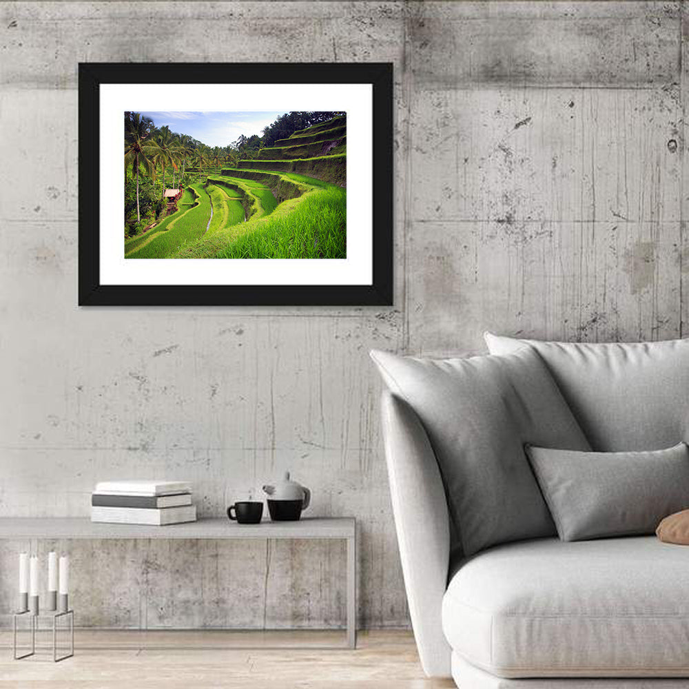 Tegallalang Rice Terraces Wall Art in a room, landscape