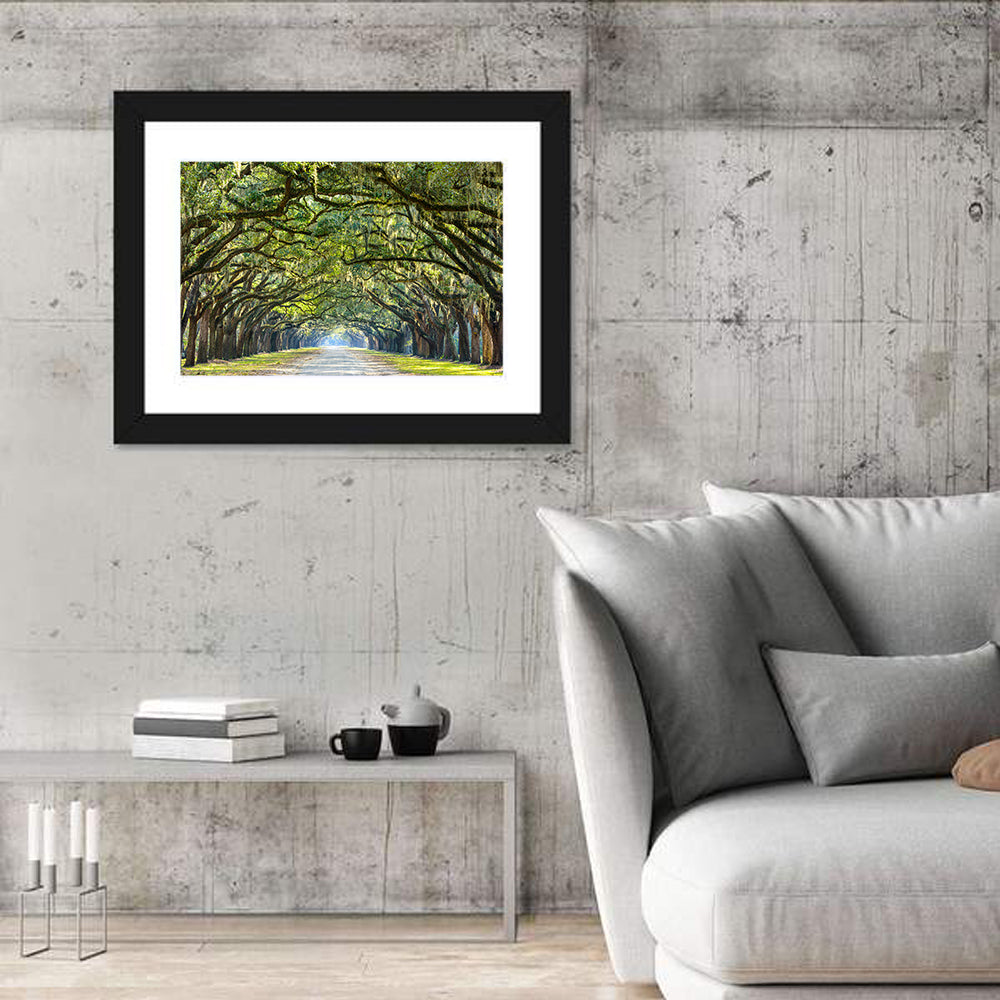 Wormsloe Plantation Oak Tunnel Wall Art in a room, landscape