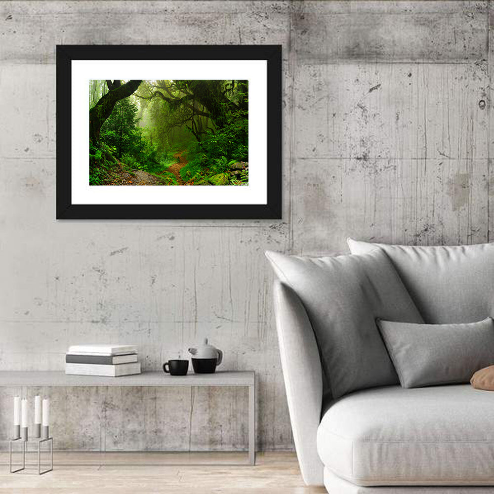 Misty Forest Trail in Nepal Wall Art