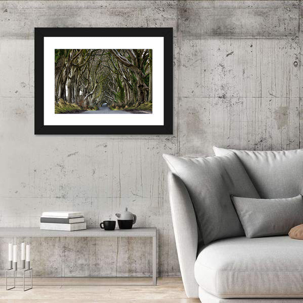 Dark Hedges Tree Tunnel Wall Art in a room, landscape