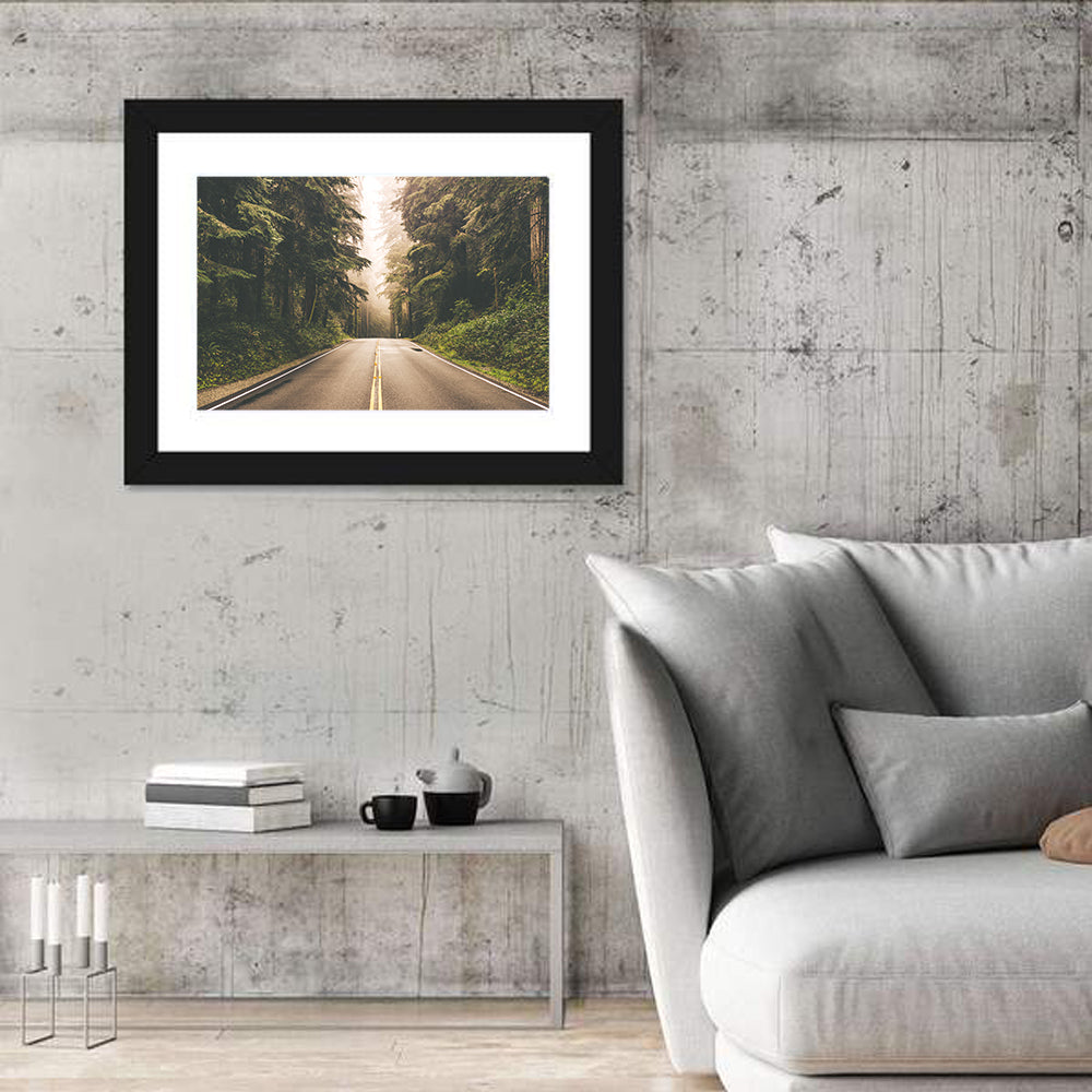 Redwood Highway In Northern California Wall Art