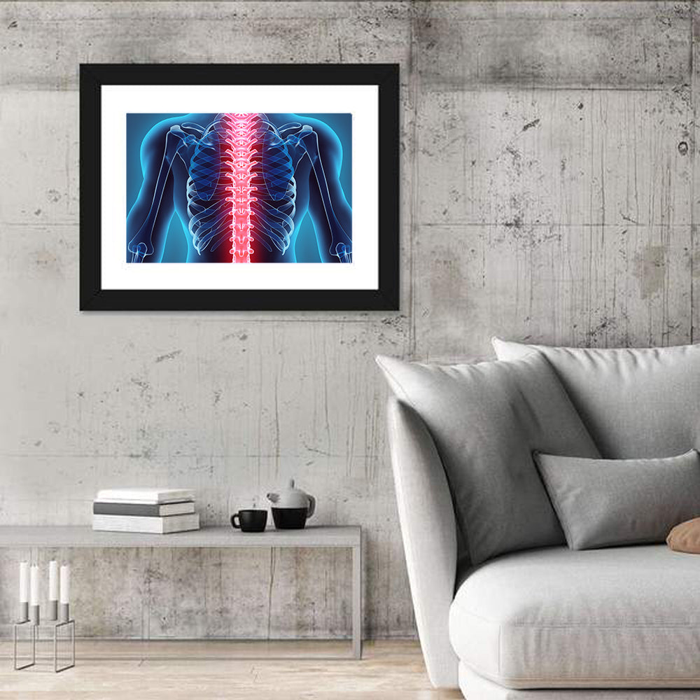 Human Spine Anatomy Illustration Wall Art