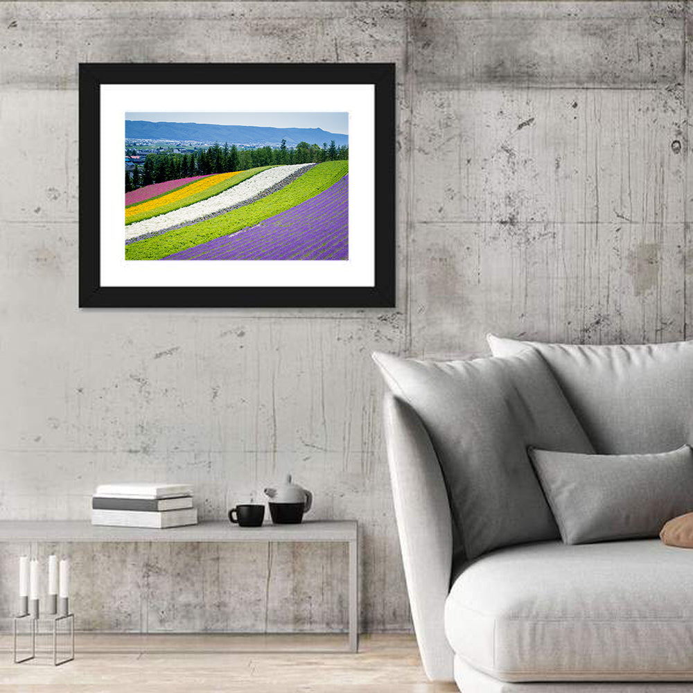 Farm Tomita Lavender Fields Wall Art in a room, landscape