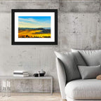 Cypress Trees Over Golden Fields Wall Art