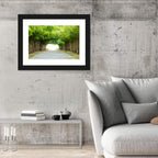 Kyoto Bamboo Canopy Walkway Wall Art