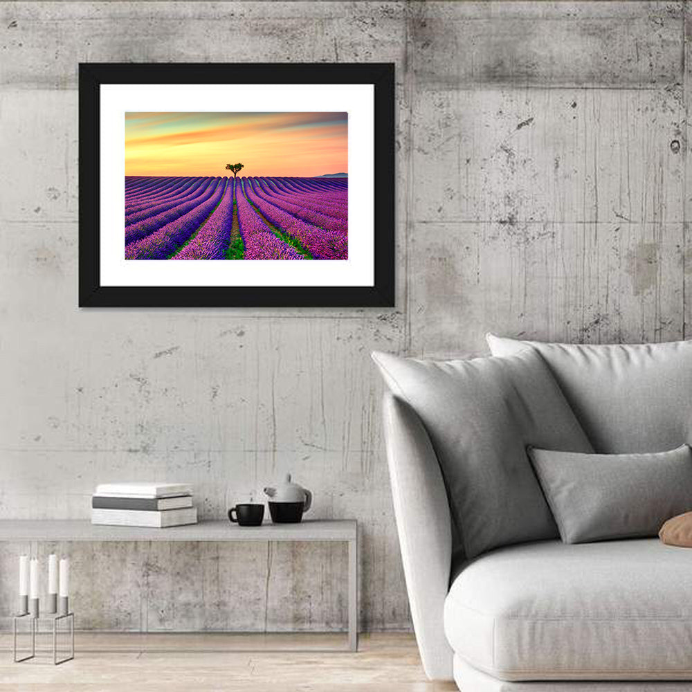 Lavender Field with Solitary Tree Wall Art in a room, landscape