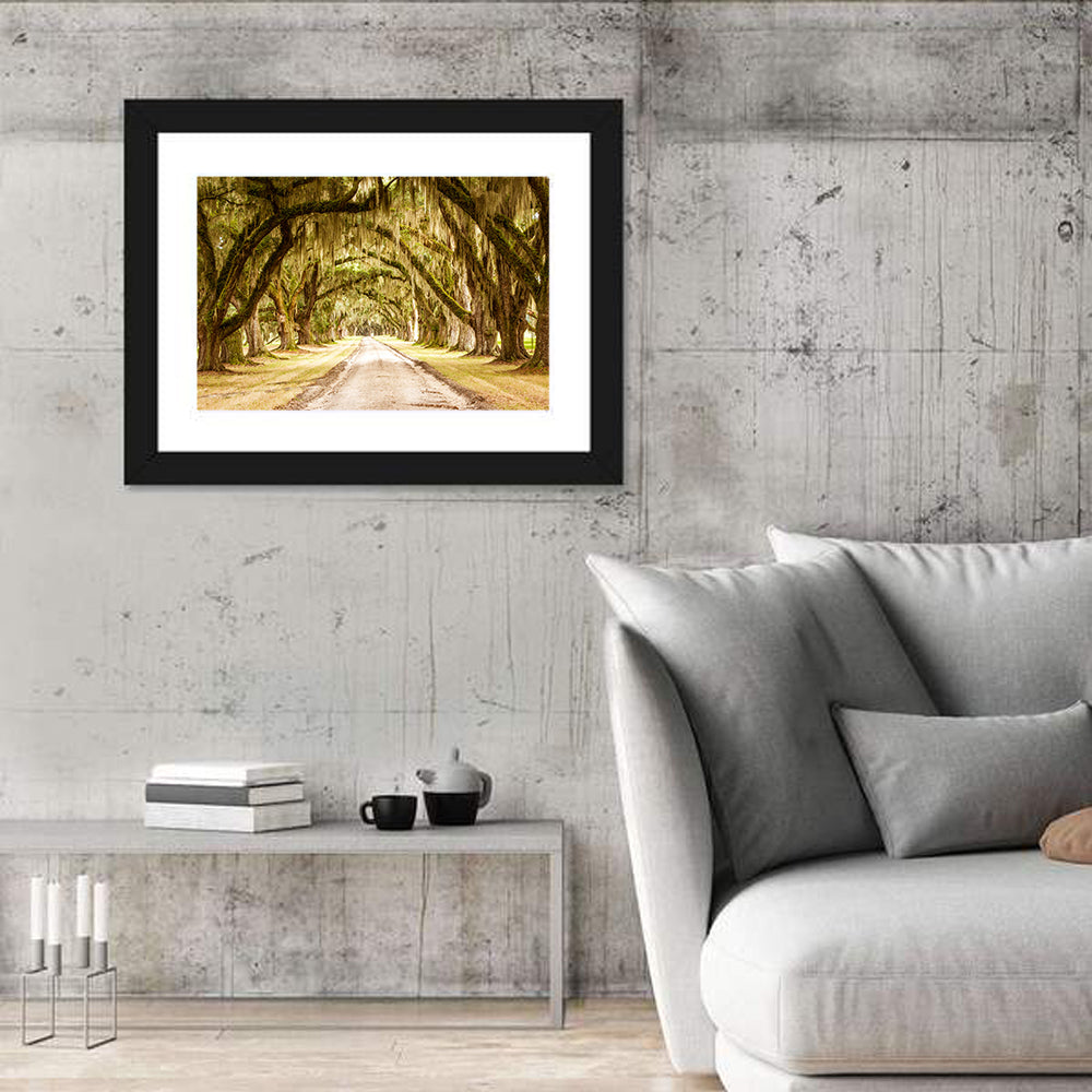 Oak Pathway Under Spanish Moss Wall Art in a room, landscape