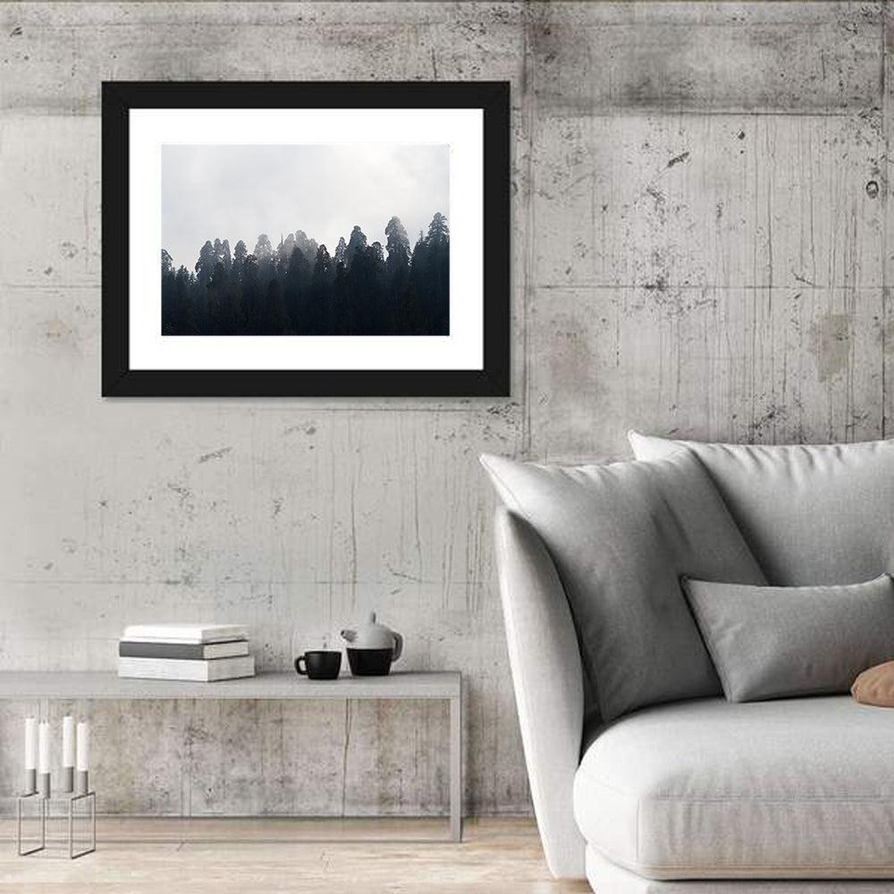 Redwood Forest in Mist Wall Art in a room, landscape