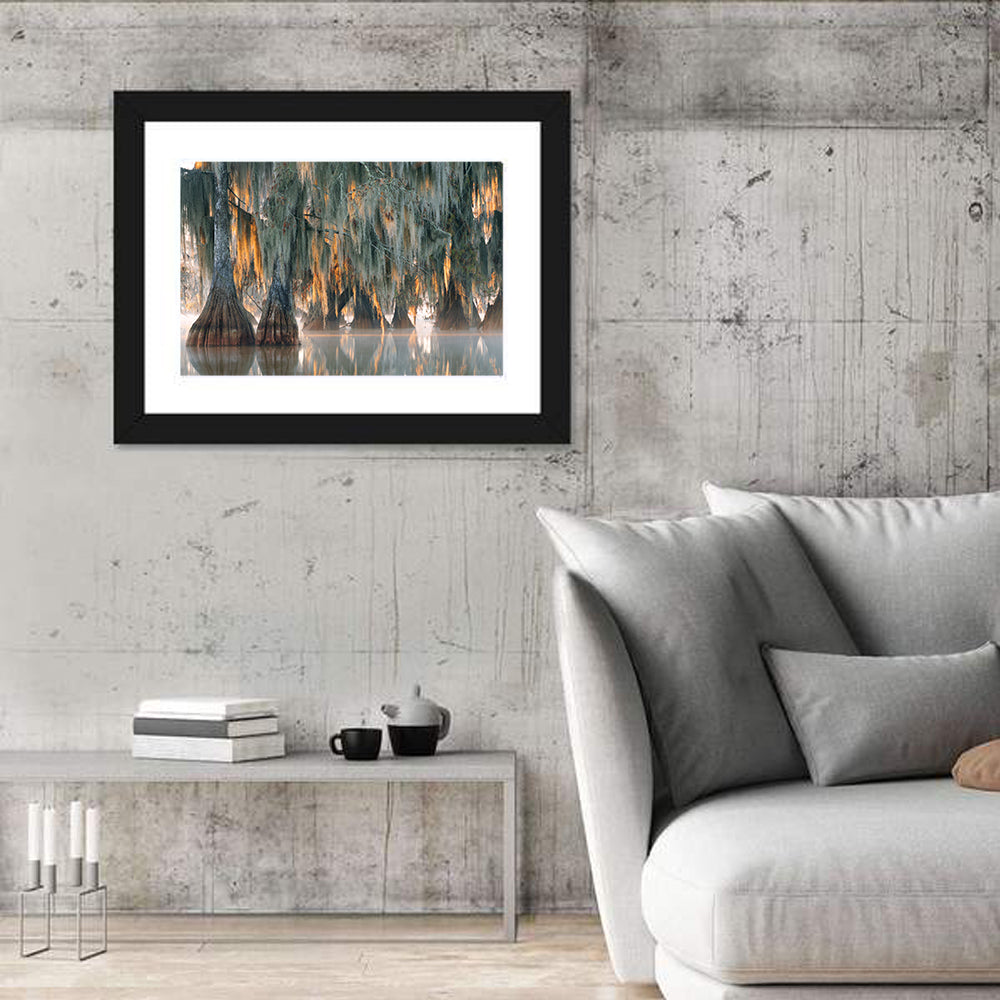 Bald Cypress Trees with Spanish Moss Wall Art in a room, landscape