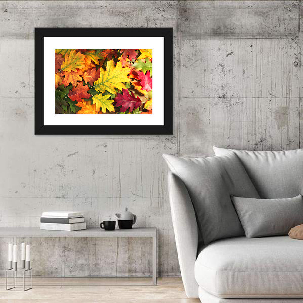 Colorful Oak Autumn Leaves Wall Art