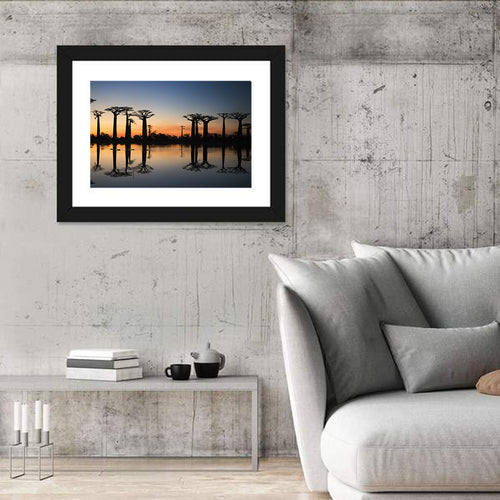 Avenue of the Baobabs at Sunrise Wall Art