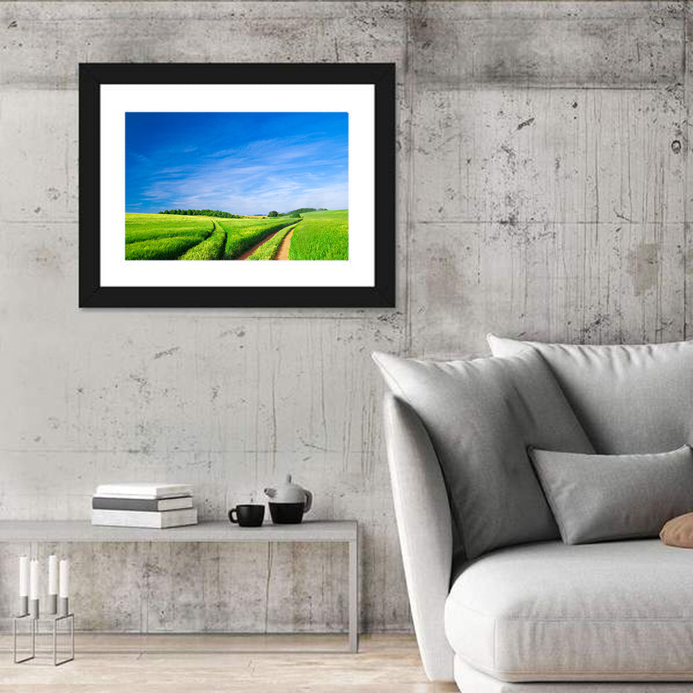 Summer Meadow with Dirt Path Wall Art