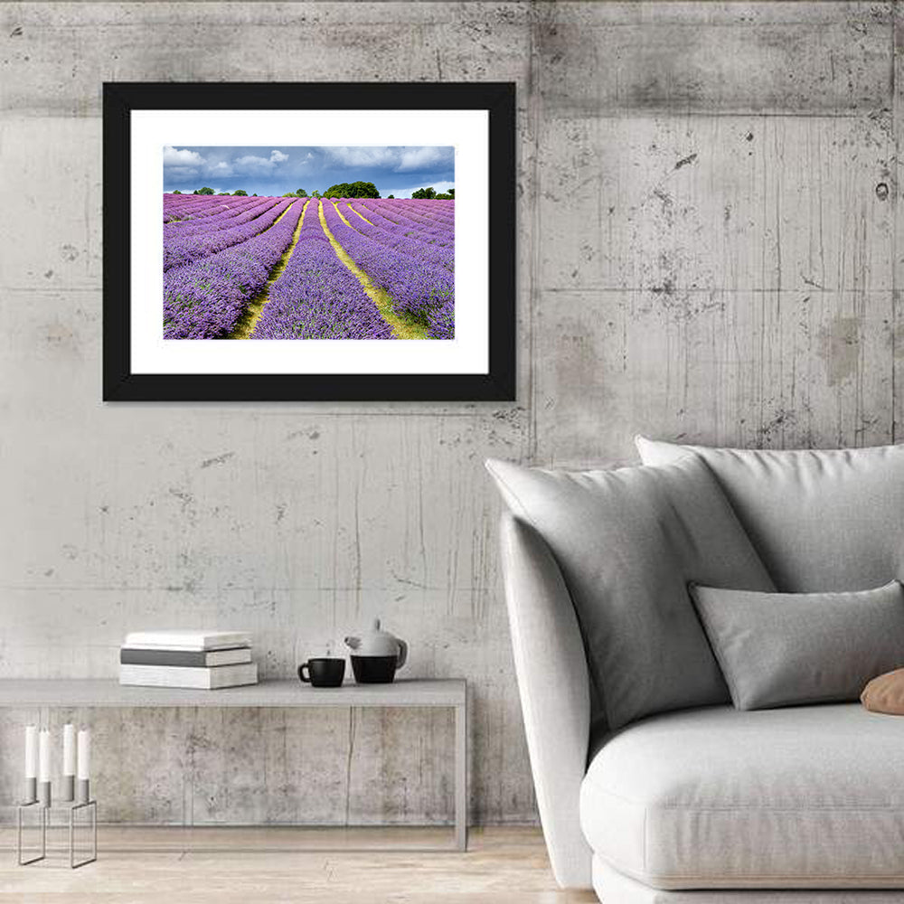 Banstead Lavender Field Wall Art in a room, landscape