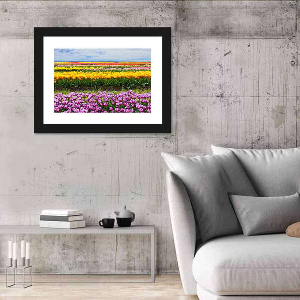Rows of Colorful Tulip Fields Wall Art