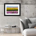 Rows of Colorful Tulip Fields Wall Art